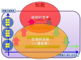 知能
身体の反射レベル
脳の原始的な部分の反射レベル
無意識の反射レベル
意志決定
物理
情報
身体
感覚
情報
抽象
知的
情報
情報の抽象度
時間進行（流れ）の方向
論理的思考
生態的反射
（＝環世界）
 