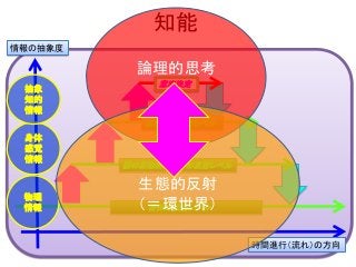 知能
身体の反射レベル
脳の原始的な部分の反射レベル
無意識の反射レベル
意志決定
物理
情報
身体
感覚
情報
抽象
知的
情報
情報の抽象度
時間進行（流れ）の方向
論理的思考
生態的反射
（＝環世界）
 
