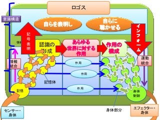 知能の世界
認識の
形成
記憶
あらゆる
世界に対する
作用
身体
制御
エフェクター・
身体
作用の
構成
センサー・
身体
作用
作用
作用
記憶体
情報処理過程 運動創出過程
身体部分
情報
統合
運動
統合
ロゴス
自らを表明し
自らに
聴かせる
記
号
表
明
イ
ン
フ
ォ
ー
ム
意識構造
 