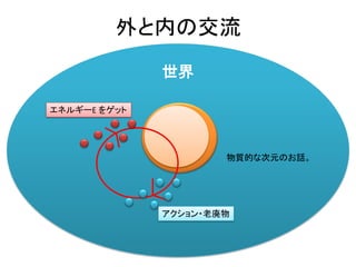 世界
外と内の交流
エネルギーE をゲット
アクション・老廃物
物質的な次元のお話。
 