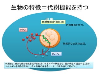 世界
生物の特徴＝代謝機能を持つ
物質的な次元のお話。
内部構造を持つ。
INPUT
OUTPUT
代謝機能（内部処理）
代謝とは、外から得た物質を化学的に高いエネルギー状態から、低い状態へ還元することで、
エネルギーを得ると同時に、自分自身の体をそれによって組み換えて行くこと。
 
