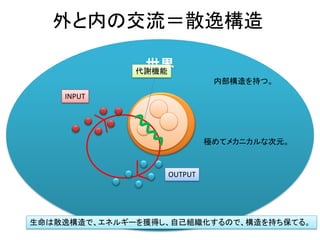 世界
外と内の交流＝散逸構造
極めてメカニカルな次元。
内部構造を持つ。
INPUT
OUTPUT
代謝機能
生命は散逸構造で、エネルギーを獲得し、自己組織化するので、構造を持ち保てる。
 