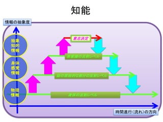 知能
身体の反射レベル
脳の原始的な部分の反射レベル
無意識の反射レベル
意志決定
物理
情報
身体
感覚
情報
抽象
知的
情報
情報の抽象度
時間進行（流れ）の方向
 