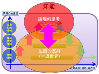 知能
身体の反射レベル
脳の原始的な部分の反射レベル
無意識の反射レベル
意志決定
物理
情報
身体
感覚
情報
抽象
知的
情報
情報の抽象度
時間進行（流れ）の方向
論理的思考
生態的反射
（＝環世界）
 