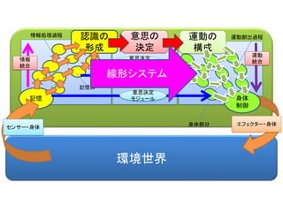 環境世界
認識の
形成
記憶
意思の
決定
身体
制御
エフェクター・身体
運動の
構成
センサー・身体
意思決定
モジュール
意思決定
モジュール
意思決定
モジュール
記憶体
情報処理過程 運動創出過程
身体部分
情報
統合
運動
統合
線形システム
 