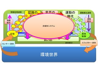 環境世界
認識の
形成
記憶
意思の
決定
身体
制御
エフェクター・身体
運動の
構成
センサー・身体
意思決定
モジュール
意思決定
モジュール
意思決定
モジュール
記憶体
情報処理過程 運動創出過程
身体部分
情報
統合
運動
統合
記憶
非線形システム
 