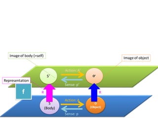 S
(Body)
O
(Object)
Action: A
O’
Sense: p
S’
Sense: p’
R Rf
Image of object
Image of body (=self)
Representation
Action: A’
 