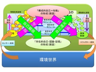環境世界
認識の
形成
記憶
意思の
決定
身体
制御
エフェクター・身体
運動の
構成
センサー・身体
意思決定
モジュール
意思決定
モジュール
意思決定
モジュール
記憶体
情報処理過程 運動創出過程
身体部分
情報
統合
運動
統合
「構成的自己＝知能」
の形成（創造）
「存在的自己・認識・記憶」
の形成（創造）
 