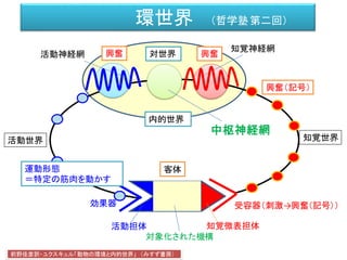 環世界 （哲学塾第二回）
効果器 受容器（刺激→興奮（記号））
客体
活動神経網
知覚神経網
前野佳彦訳・ユクスキュル「動物の環境と内的世界」 （みすず書房）
知覚世界活動世界
知覚微表担体
対象化された機構
活動担体
内的世界
興奮（記号）
興奮興奮
運動形態
＝特定の筋肉を動かす
中枢神経網
対世界
 