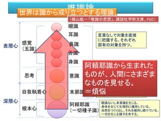 唯識論世界は識から成り立つとする理論。
眼識
耳識
鼻識
舌識
身識
意識
阿頼耶識
（一切種子識）
末那識
感覚
（五識）
思考
自我執着心
根本心
表層心
深層心
言葉なしで対象を直接
に把握する。それぞれ
固有の対象を持つ。
五識と共に働いて感覚を
鮮明にする。五識の後に
言葉を用いて対象を概念的
に把握する
常に阿頼耶識を対象として
「我」と執する。
眼識ないし末那識を生じる。
身体を生じて生理的に維持している。
自然をつくり出し、それを維持し続けている。
一切を生じる種子を有する。
（横山紘一「唯識の思想」、講談社学術文庫、P.60）
阿頼耶識から生まれた
ものが、人間にさまざま
なものを見せる。
＝煩悩
 