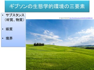 ギブソンの生態学的環境の三要素
• サブスタンス
（材質、物質）
• 媒質
• 境界
Un ragazzo chiamato Bi http://free-photos.gatag.net/2014/05/19/200000.html
 