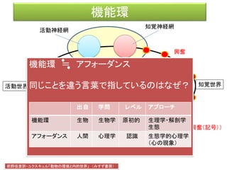 機能環
効果器
客体
活動神経網
知覚神経網
前野佳彦訳・ユクスキュル「動物の環境と内的世界」 （みすず書房）
知覚世界活動世界
知覚微表担体
対象化された機構
活動担体
内的世界
興奮
受容器（刺激→興奮（記号））
機能環 ＝ アフォーダンス
同じことを違う言葉で指しているのはなぜ？
出自 学問 レベル アプローチ
機能環 生物 生物学 原初的 生理学・解剖学
生態
アフォーダンス 人間 心理学 認識 生態学的心理学
（心の現象）
 