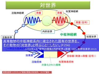 対世界
効果器 受容器（刺激→興奮（記号））
客体
活動神経網
知覚神経網
前野佳彦訳・ユクスキュル「動物の環境と内的世界」 （みすず書房）
知覚世界活動世界
知覚微表担体
対象化された機構
活動担体
内的世界
興奮（記号）
興奮興奮
運動形態
＝特定の筋肉を動かす
中枢神経網
高等動物の中枢神経系内に確立された固有の世界を、
その動物の「対世界」と呼ぶことにしたい。(P.256)
ユクスキュル「動物の環境と内的世界」(原著：1921, 前野佳彦訳:2012)
 