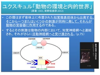 • この環はまず客体上に布置された知覚微表担体から出発する。
そこから一つまたはいくつかの刺激が同時に発して、それらが
動物の受容器に作用するのである。
• するとその刺激は動物の内部において、知覚神経網へと連結
され、それがさらに活動神経網へと受け渡される。（p.75）
ユクスキュル「動物の環境と内的世界」
(原著：1921, 前野佳彦訳:2012)
 