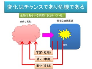 環境
変化はチャンスであり危機である
自由な変化 厳格な自然選択
学習（短期）
適応（中期）
進化（長期）
生物はあらゆる瞬間に試されている。
 