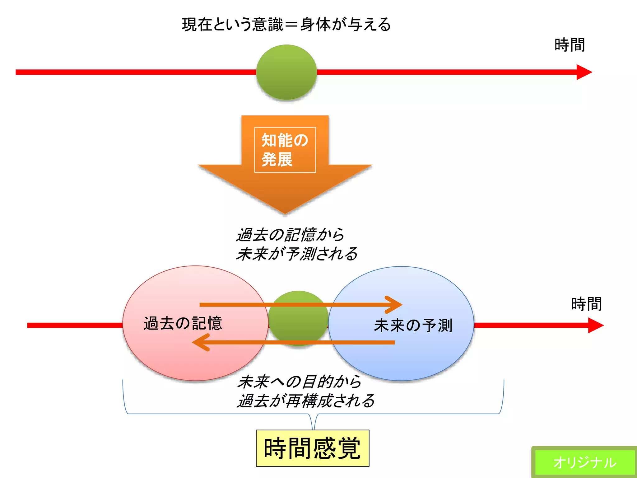 時間
現在という意識＝身体が与える
過去の記憶 未来の予測
未来への目的から
過去が再構成される
過去の記憶から
未来が予測される
時間
知能の
発展
時間感覚 オリジナル
 
