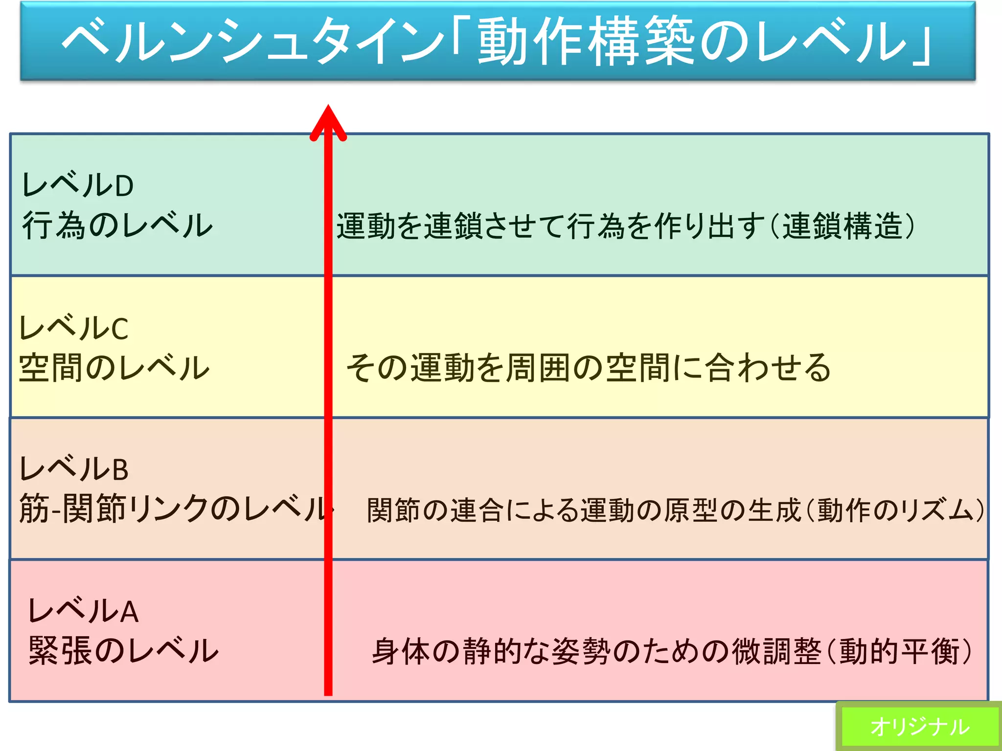 ベルンシュタイン「動作構築のレベル」
レベルD
行為のレベル 運動を連鎖させて行為を作り出す（連鎖構造）
レベルC
空間のレベル その運動を周囲の空間に合わせる
レベルA
緊張のレベル 身体の静的な姿勢のための微調整（動的平衡）
レベルB
筋-関節リンクのレベル 関節の連合による運動の原型の生成（動作のリズム）
オリジナル
 