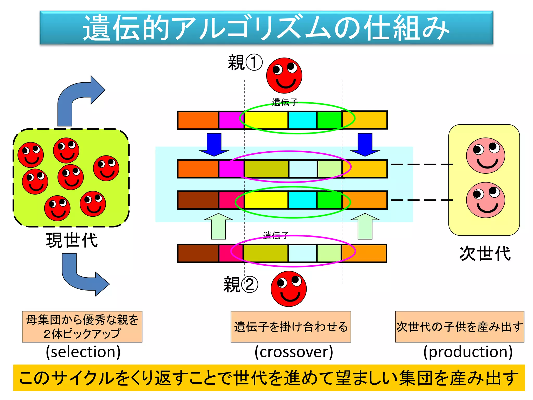 遺伝的アルゴリズムの仕組み
遺伝子
遺伝子
次世代
親①
親②
母集団から優秀な親を
２体ピックアップ
遺伝子を掛け合わせる 次世代の子供を産み出す
(selection) (crossover) (production)
現世代
このサイクルをくり返すことで世代を進めて望ましい集団を産み出す
遺伝子
遺伝子
 