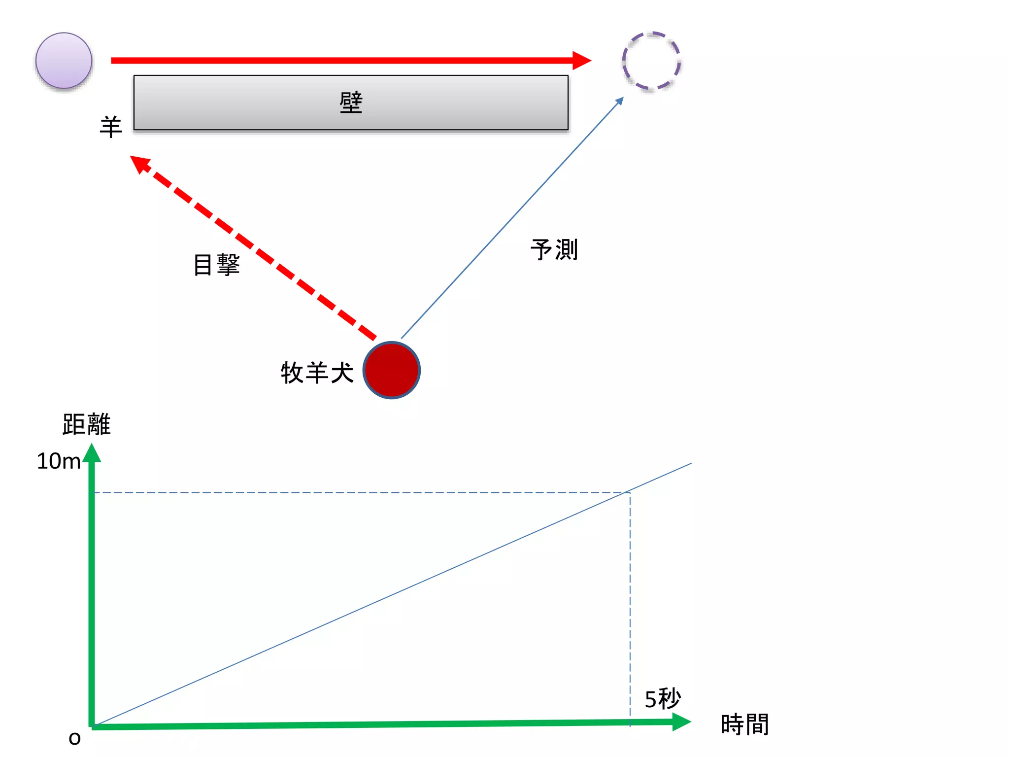 牧羊犬
壁
羊
目撃
予測
時間
距離
o
5秒
10m
 