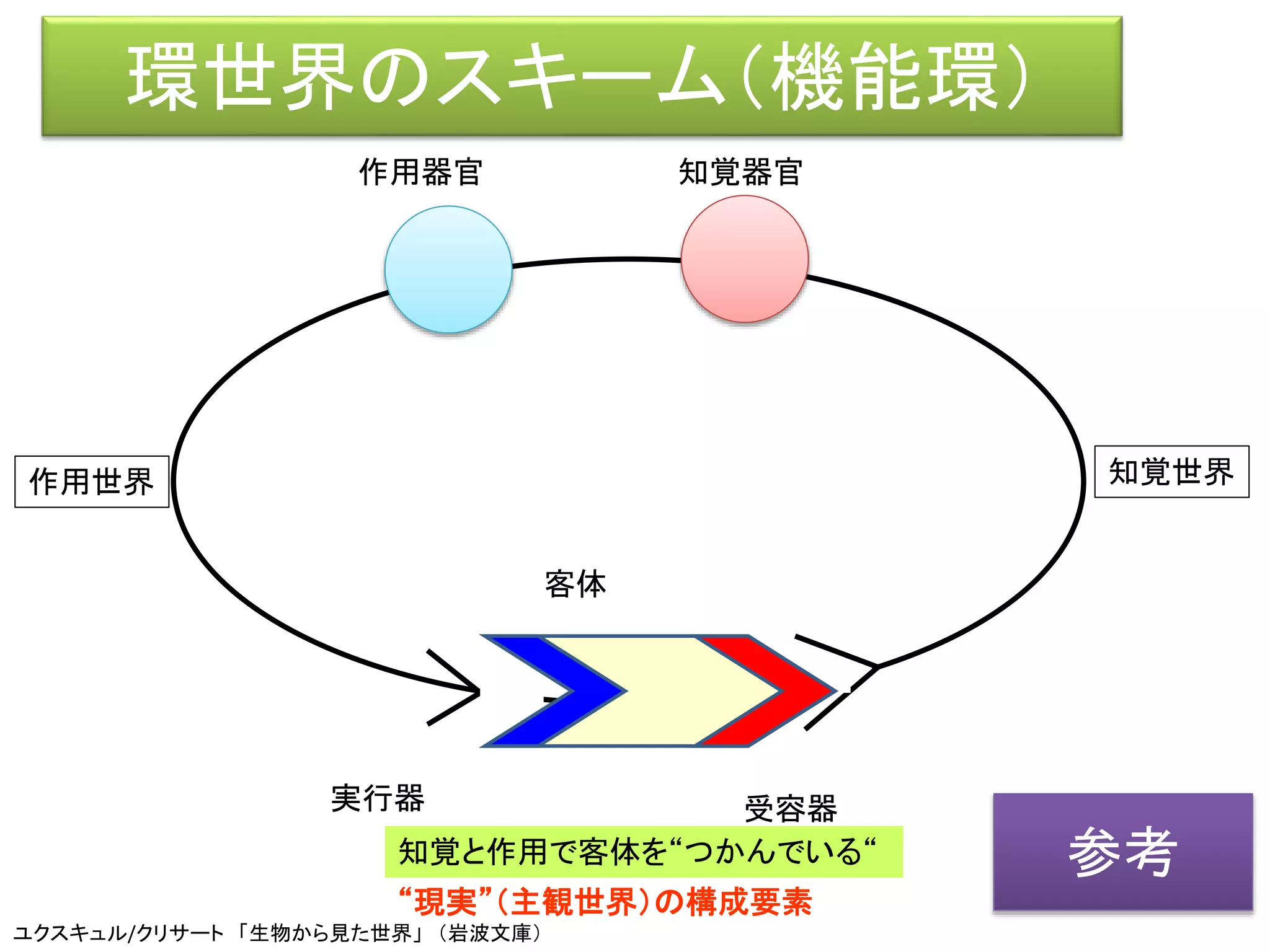 環世界のスキーム（機能環）
実行器 受容器
知覚と作用で客体を“つかんでいる“
客体
作用器官 知覚器官
“現実”（主観世界）の構成要素
ユクスキュル/クリサート 「生物から見た世界」 （岩波文庫）
知覚世界作用世界
参考
 