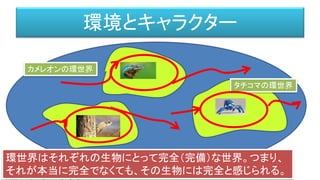 環境
環境とキャラクター
http://www.kaiyodo.co.jp/revoltech/yamaguchi_2012.html
カメレオンの環世界
タチコマの環世界
環世界はそれぞれの生物にとって完全（完備）な世界。つまり、
それが本当に完全でなくても、その生物には完全と感じられる。
 