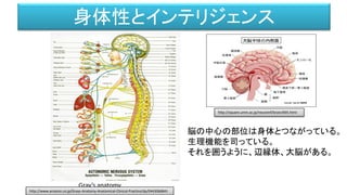 身体性とインテリジェンス
Gray’s anatomy
脳の中心の部位は身体とつながっている。
生理機能を司っている。
それを囲うように、辺縁体、大脳がある。
http://square.umin.ac.jp/neuroinf/brain/005.html
http://www.amazon.co.jp/Grays-Anatomy-Anatomical-Clinical-Practice/dp/0443066841
 