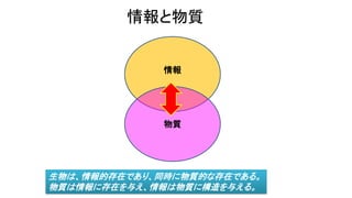 情報と物質
情報
物質
生物は、情報的存在であり、同時に物質的な存在である。
物質は情報に存在を与え、情報は物質に構造を与える。
 