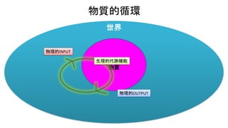 世界
物質的循環
物質
物理的INPUT
物理的OUTPUT
生理的代謝機能
 