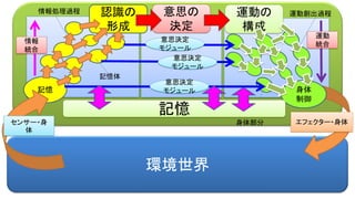 環境世界
認識の
形成
記憶
意思の
決定
身体
制御
エフェクター・身体
運動の
構成
センサー・身
体
意思決定
モジュール
意思決定
モジュール
意思決定
モジュール
記憶体
情報処理過程 運動創出過程
身体部分
情報
統合
運動
統合
記憶
 