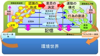 環境世界
認識の
形成
記憶
意思の
決定
身体
制御
エフェクター・身体
運動の
構成
センサー・身
体
意思決定
モジュール
意思決定
モジュール
意思決定
モジュール
記憶体
情報処理過程 運動創出過程
身体部分
情報
統合
運動
統合
記憶
行為の創造
 