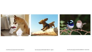 Falco500 http://www.gatag.net/02/25/2010/110000.html http://www.gatag.net/09/03/2009/110000.html soggydan http://free-photos.gatag.net/2014/05/13/060000.html benjamint444
 