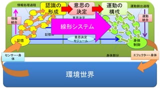 環境世界
認識の
形成
記憶
意思の
決定
身体
制御
エフェクター・身体
運動の
構成
センサー・身
体
意思決定
モジュール
意思決定
モジュール
意思決定
モジュール
記憶体
情報処理過程 運動創出過程
身体部分
情報
統合
運動
統合
線形システム
 