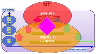 知能
身体の反射レベル
脳の原始的な部分の反射レベル
無意識の反射レベル
意志決定
物理
情報
身体
感覚
情報
抽象
知的
情報
情報の抽象度
時間進行（流れ）の方向
論理的思考
生態的反射
（＝環世界）
 