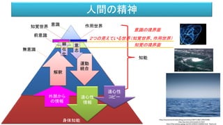 身体知能
意識
前意識
無意識
外部から
の情報
知能
解釈
顕
在
化
運動
統合
意
志
意識の境界面
知覚の境界面
２つの見えている世界（知覚世界、作用世界）
知覚世界 作用世界
遠心性
情報
遠心性
コピー
人間の精神
http://sourcechord.hatenablog.com/entry/20071108/1194525490
http://g-sozai.com/sozai/121.html
http://free-photos.gatag.net/2013/09/07/100000.html flashcurd
 