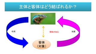 主体と客体はどう結ばれるか？
客体
（対象）
関係がある 知覚作用
 