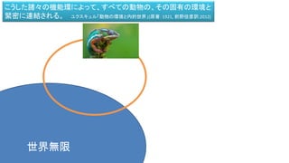 世界無限
こうした諸々の機能環によって、すべての動物の、その固有の環境と
緊密に連結される。 ユクスキュル「動物の環境と内的世界」(原著：1921, 前野佳彦訳:2012)
 