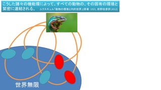 世界無限
こうした諸々の機能環によって、すべての動物の、その固有の環境と
緊密に連結される。 ユクスキュル「動物の環境と内的世界」(原著：1921, 前野佳彦訳:2012)
 