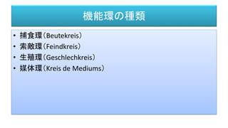 機能環の種類
• 捕食環（Beutekreis）
• 索敵環（Feindkreis）
• 生殖環（Geschlechkreis）
• 媒体環（Kreis de Mediums）
 