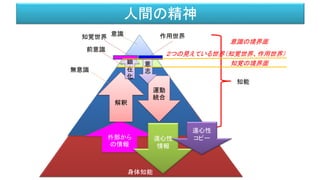身体知能
意識
前意識
無意識
外部から
の情報
知能
解釈
顕
在
化
運動
統合
意
志
意識の境界面
知覚の境界面
２つの見えている世界（知覚世界、作用世界）
知覚世界 作用世界
遠心性
情報
遠心性
コピー
人間の精神
 