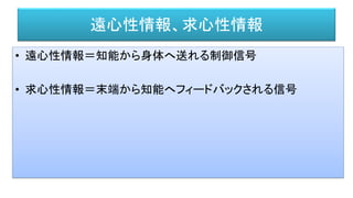 遠心性情報、求心性情報
• 遠心性情報＝知能から身体へ送れる制御信号
• 求心性情報＝末端から知能へフィードバックされる信号
 