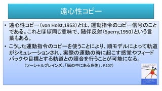 遠心性コピー
• 遠心性コピー（von Holst,1953）とは、運動指令のコピー信号のこと
である。これとほぼ同じ意味で、随伴反射（Sperry,1950）という言
葉もある。
• こうした運動指令のコピーを使うことにより、順モデルによって軌道
がシミュレーションされ、実際の運動の時に起こす感覚やフィード
バックや目標とする軌道との照合を行うことが可能になる。
（ソーシャルブレインズ、「脳の中にある身体」、P.107）
 