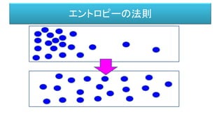 エントロピーの法則
 