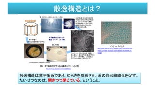 散逸構造とは？
http://www.jst.go.jp/pr/announce/20090522/
http://www.applc.keio.ac.jp/~asakura/asakura_j/dissipative.html
散逸構造は非平衡系であり、ゆらぎを成長させ、系の自己組織化を促す。
たいせつなのは、開きつつ閉じている、ということ。
ベナールセル
https://www.youtube.com/watch?v=UhImCA5
DsQ0
 