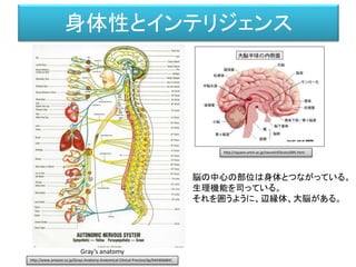 身体性とインテリジェンス
Gray’s anatomy
脳の中心の部位は身体とつながっている。
生理機能を司っている。
それを囲うように、辺縁体、大脳がある。
http://square.umin.ac.jp/neuroinf/brain/00...