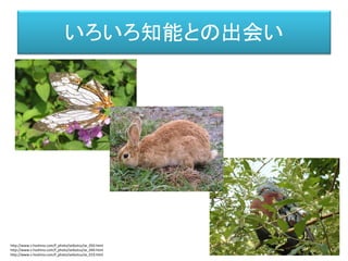 いろいろ知能との出会い
http://www.s-hoshino.com/f_photo/seibutsu/se_050.html
http://www.s-hoshino.com/f_photo/seibutsu/se_049.html
http://www.s-hoshino.com/f_photo/seibutsu/se_019.html
 