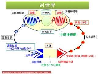 対世界
効果器 受容器（刺激→興奮（記号））
客体
活動神経網
知覚神経網
前野佳彦訳・ユクスキュル「動物の環境と内的世界」 （みすず書房）
知覚世界活動世界
知覚微表担体
対象化された機構
活動担体
内的世界
興奮（記号）
興奮興奮
運動形態
＝特定の筋肉を動かす
中枢神経網
対世界
 