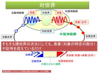 対世界
効果器 受容器（刺激→興奮（記号））
客体
活動神経網
知覚神経網
前野佳彦訳・ユクスキュル「動物の環境と内的世界」 （みすず書房）
知覚世界活動世界
知覚微表担体
対象化された機構
活動担体
内的世界
興奮（記号）
興奮興奮
運動形態
＝特定の筋肉を動かす
中枢神経網
対世界
そもそも環世界の次元にしても、表象（対象の特定の部分）
や記号を捉えているだけ
 