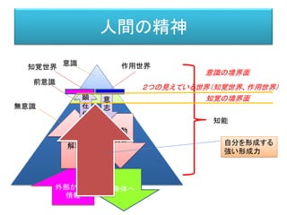 人間の精神
意識
前意識
無意識
外部からの
情報
知能
解釈
顕
在
化
運動
統合
意
志
意識の境界面
知覚の境界面
２つの見えている世界（知覚世界、作用世界）
知覚世界 作用世界
自分を形成する
強い形成力
 