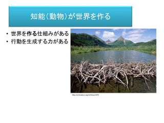 知能（動物）が世界を作る
• 世界を作る仕組みがある
• 行動を生成する力がある
http://animalkun.org/archives/1070
 