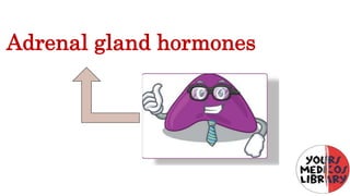 Adrenal gland hormones
 
